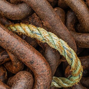 Rost