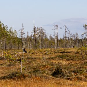 Medium 'Die Spannung steigt....' in der Kategorie 'Landschaft'