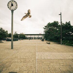 Die Zeit fliegt