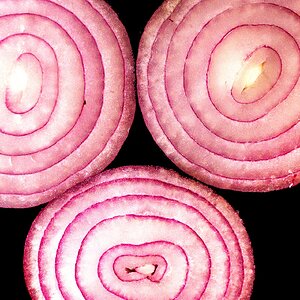 Onion rings #2