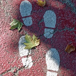 Herbst