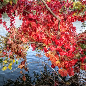Eingefärbt (2)