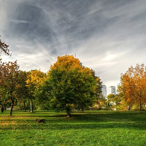 Herbstlicher Park