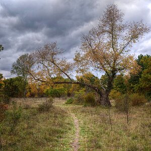Nationalpark Donauauen