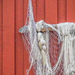 Medium 'Netzwerk' in der Kategorie 'Vermischtes'