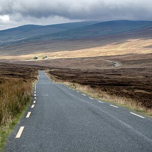 On the Road Again (4)