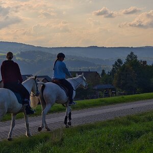 Medium 'heimwärts' in der Kategorie 'Menschen'