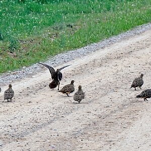 Ich mach jetzt Platz