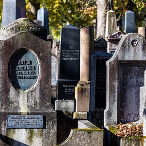 friedliche Versammlung