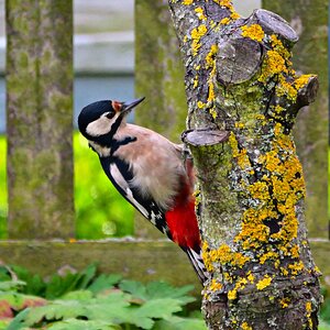 da ist was für mich