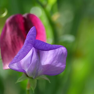 Als der Herbst noch schön war