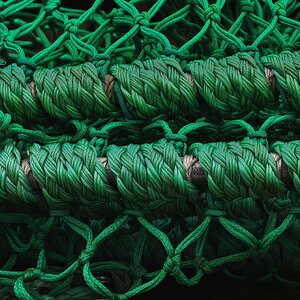 Entwicklungspotenzial