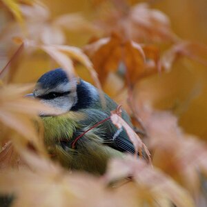 Huhu....siehst Du mich?