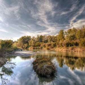 Nationalpark Donauauen