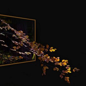 Aus dem Rahmen gefallen