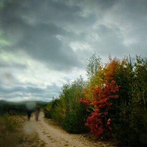 _nasse exkursion..jpg