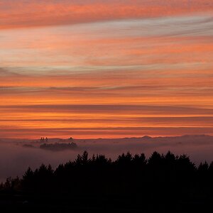 ... Wetterbericht: stellenweise Bodennebel