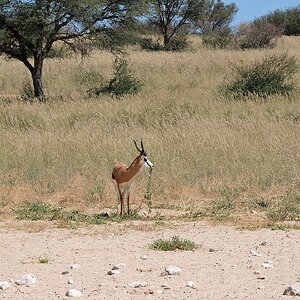 Das hört ja gar nicht auf