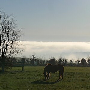 Über den Wolken....