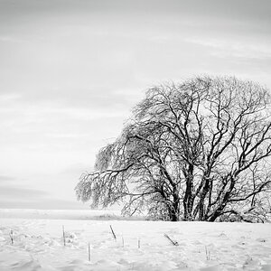 In weiterer Aussicht