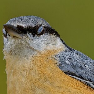 Augen zu und durch......