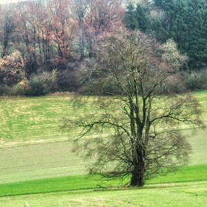 November - jetzt ist er richtig kahl