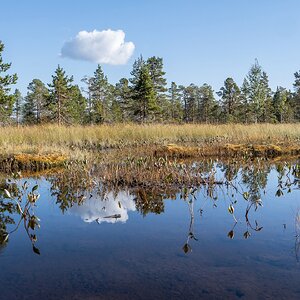 Ånderdalen-Nationalpark