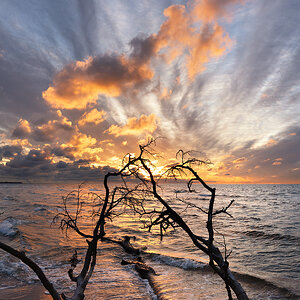 Abendlicht am Naturstrand