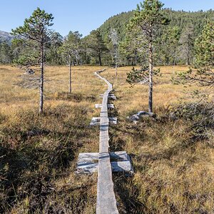 Ånderdalen-Nationalpark (2)