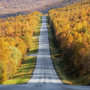 On the Road Again (6)