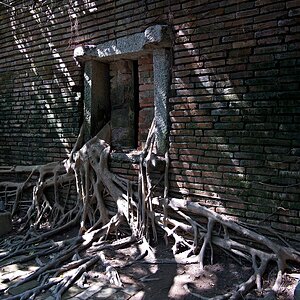 ... #3 lost place "... durchsetzungsfähig"