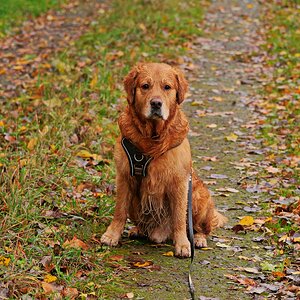 Komm endlich weiter!