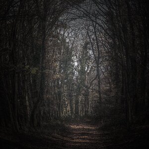 Dieser Weg wird kein Leichter sein...