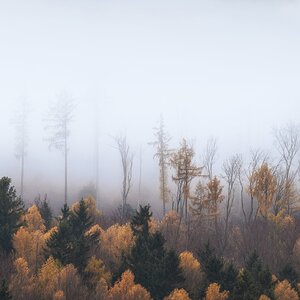 herbstliche Farbtupfer