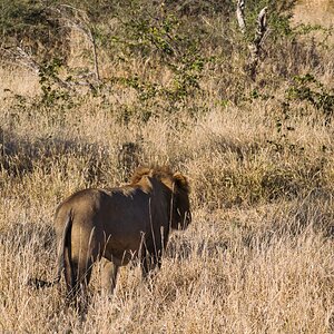 Ich bin dann mal weg..