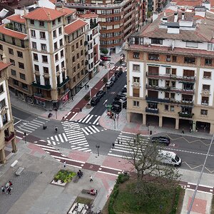 Jede Menge Zebras II