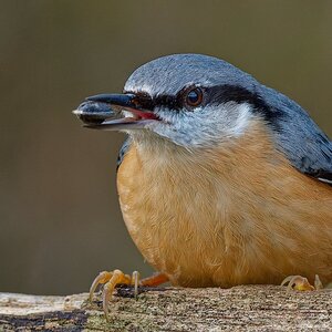 Frühstück heute Morgen.