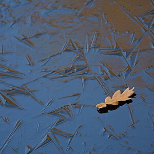 ... Herbstende + Winteranfang