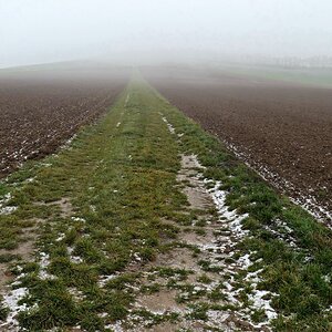 Feldweg -  Schwanfeld nach Wipfeld.jpg