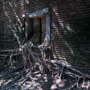 ... #3 lost place -  'durchsetzungsfähig'