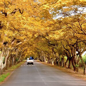 On the Road Again (7)