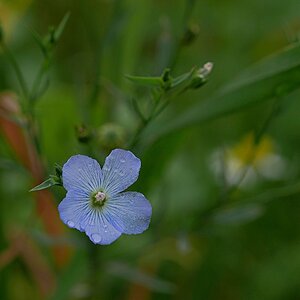November-Bodenverbesserung