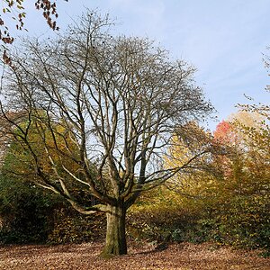 In herbstbunter Nachbarschaft