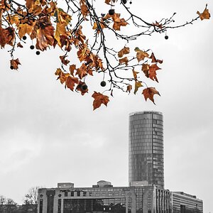 Herbstlicher Blick ins Trübe