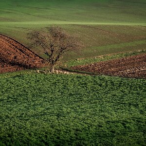 Streiflicht am Glauberg