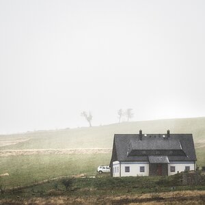 Mali Hay.  -  Klein Han