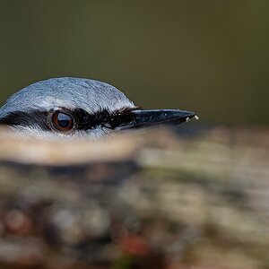 So gerade eben.......