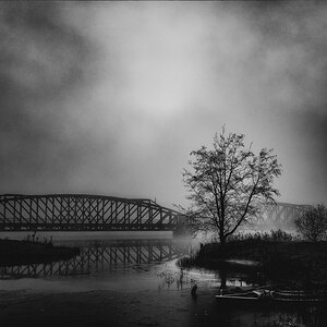 Nebel am Fluss II