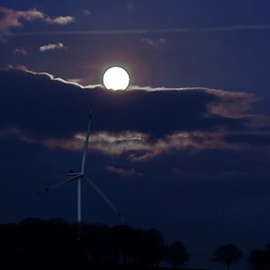 Sanft auf Wolken gebettet.