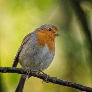 "Meinst Du das wird was?"